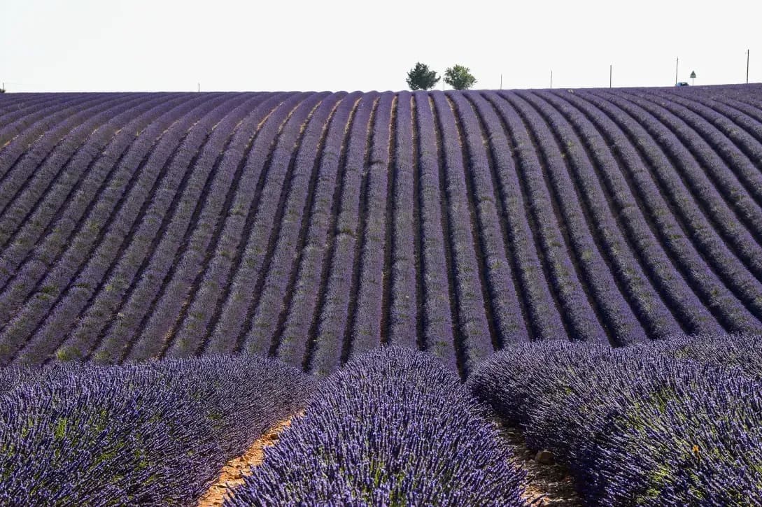 Provence Voyages 12