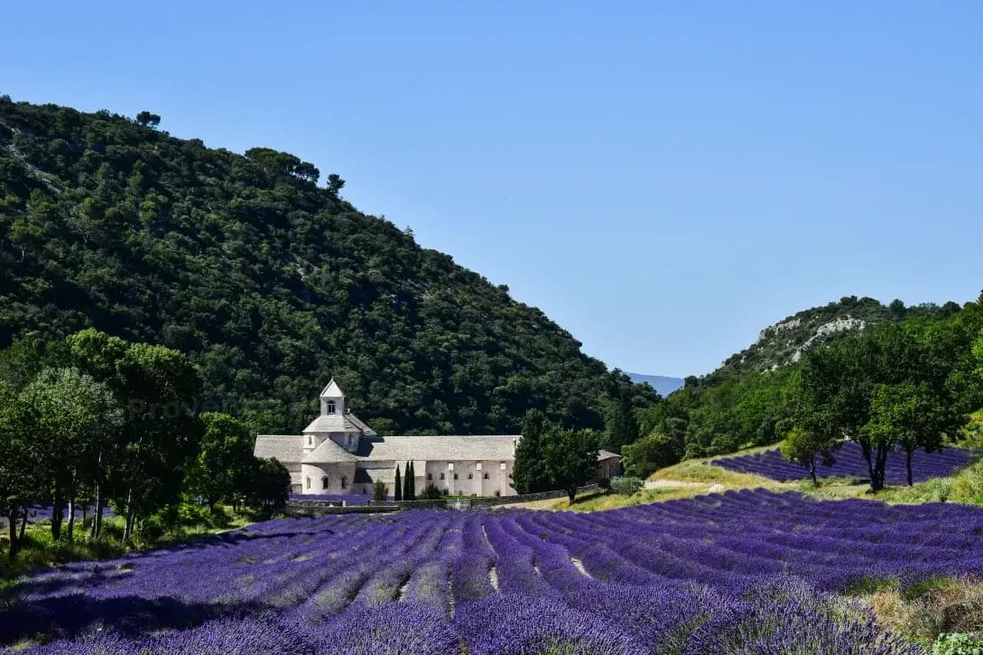 Provence Voyages 14