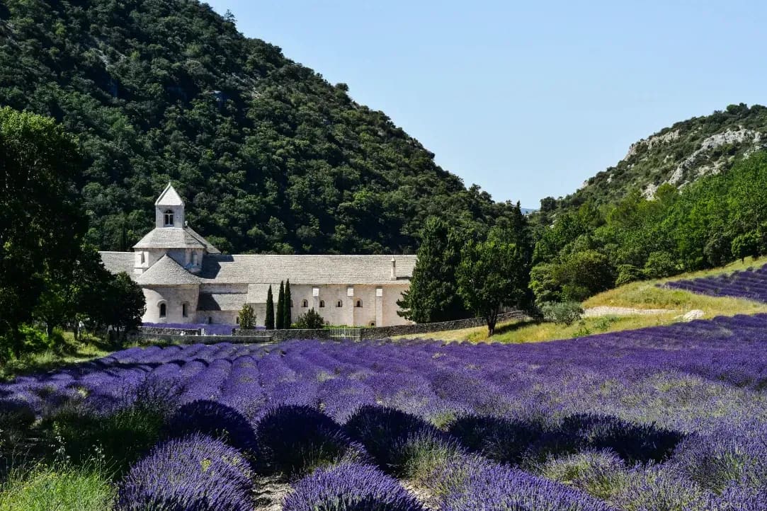Provence Voyages 15