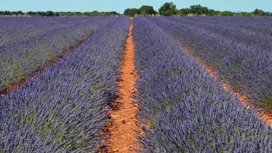 Provence Voyages 2