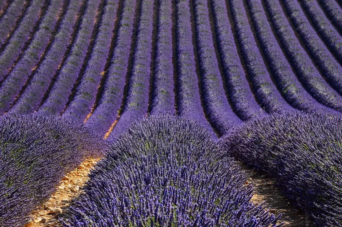 Provence Voyages 3