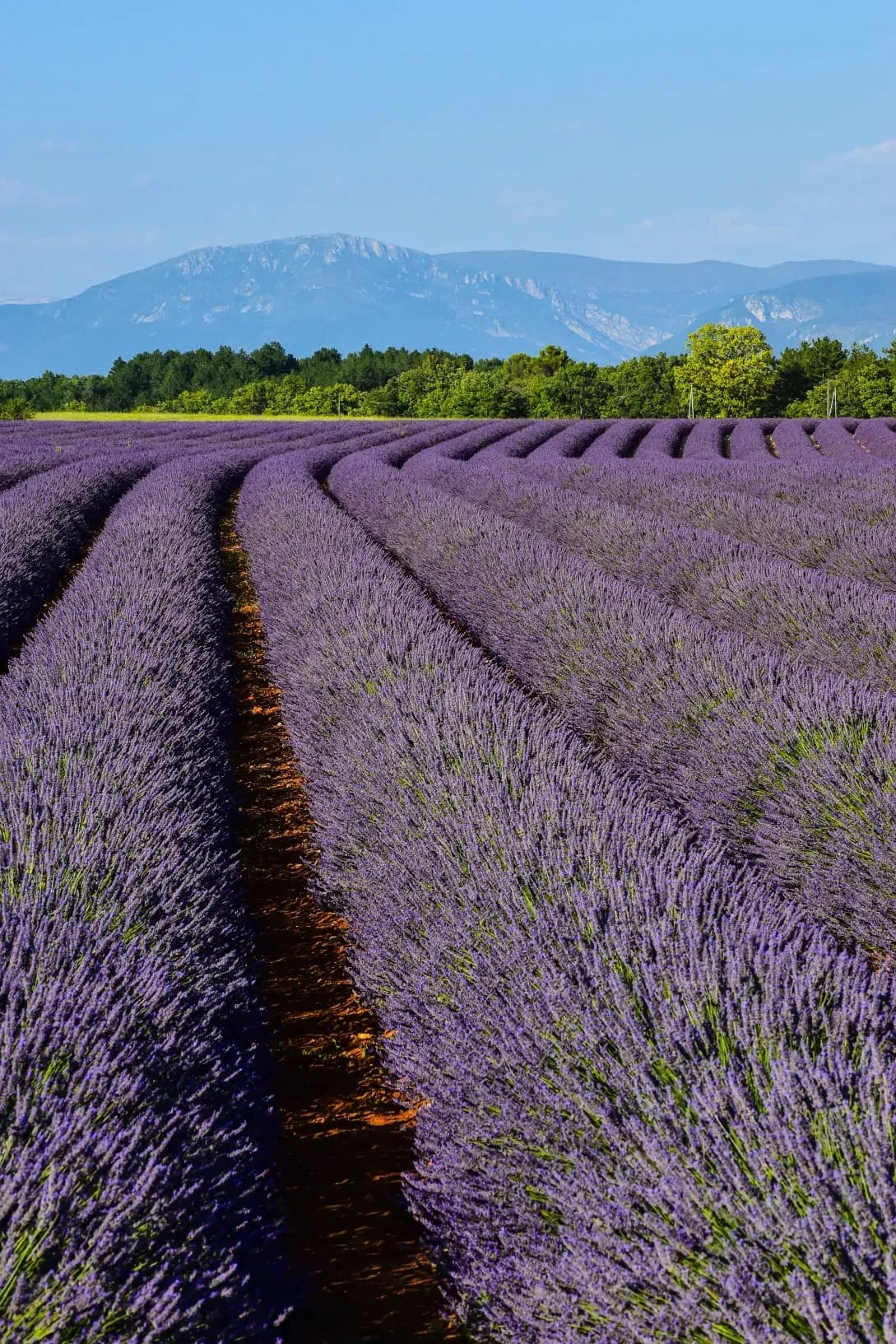 Provence Voyages 9
